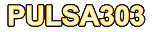 pulsa303